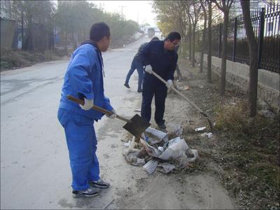 公司团委组织青年团员清扫厂区外垃圾
